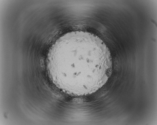 X0000100410699200806271444