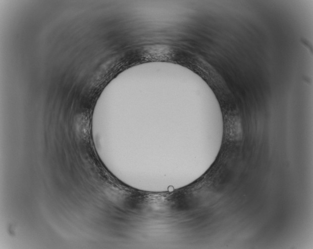 X0000100410701200806271444