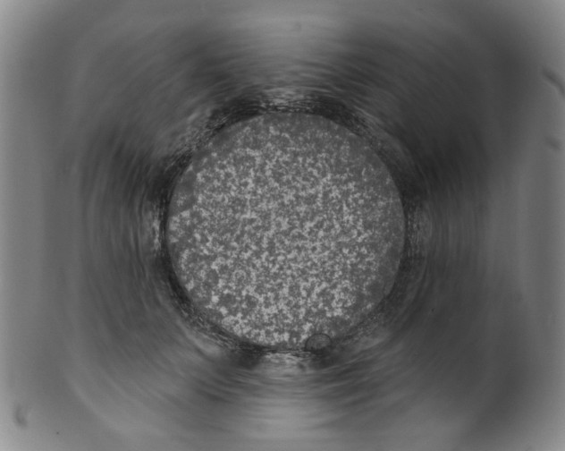 X0000100410703200806271444