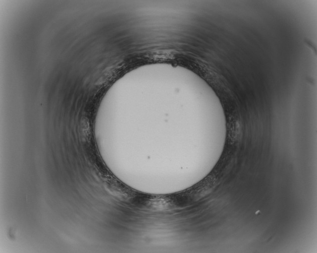 X0000100410704200806271444