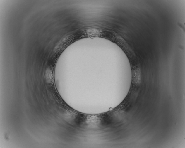 X0000100410705200806271444