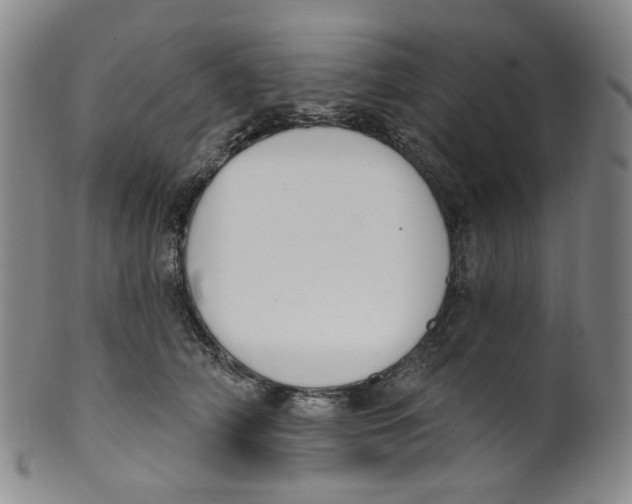 X0000100410706200806271444