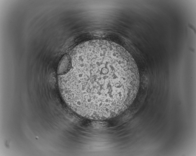 X0000100410707200806271444