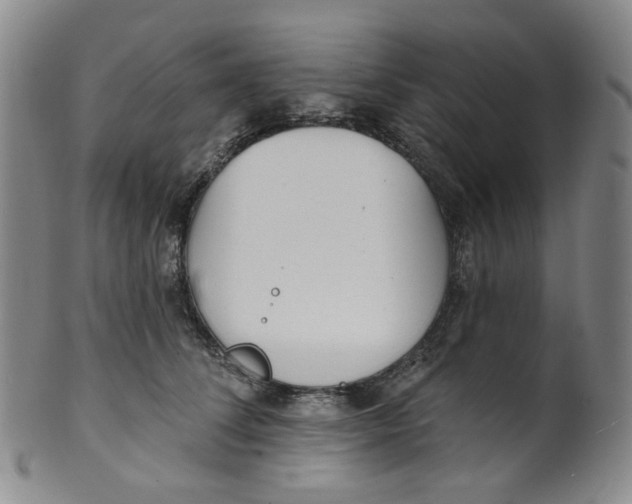 X0000100410708200806271444