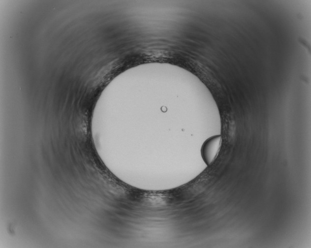 X0000100410710200806271444