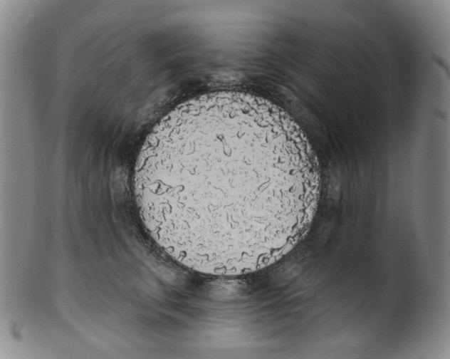 X0000100410711200806271444