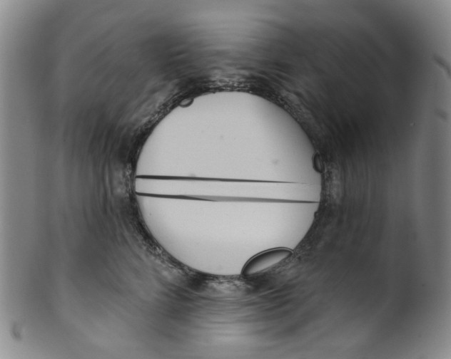 X0000100410712200806271443