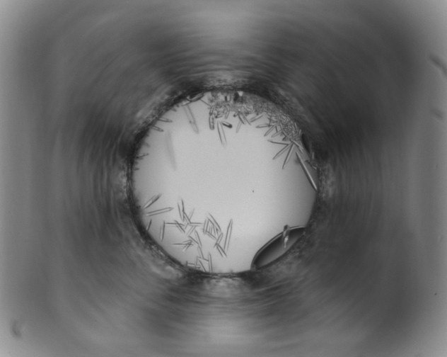 X0000100410716200806271443