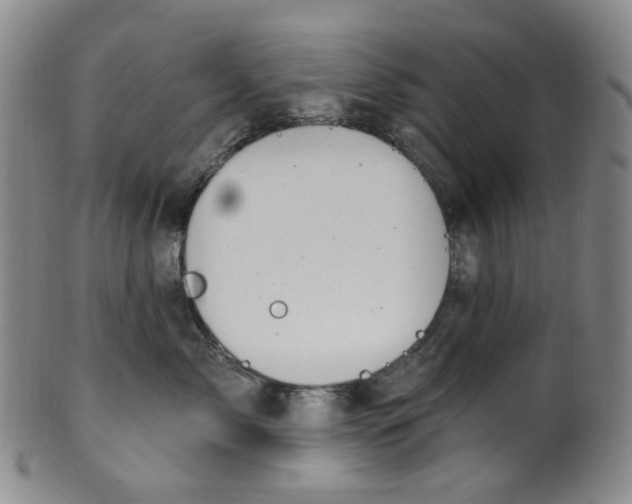 X0000100410717200806271443