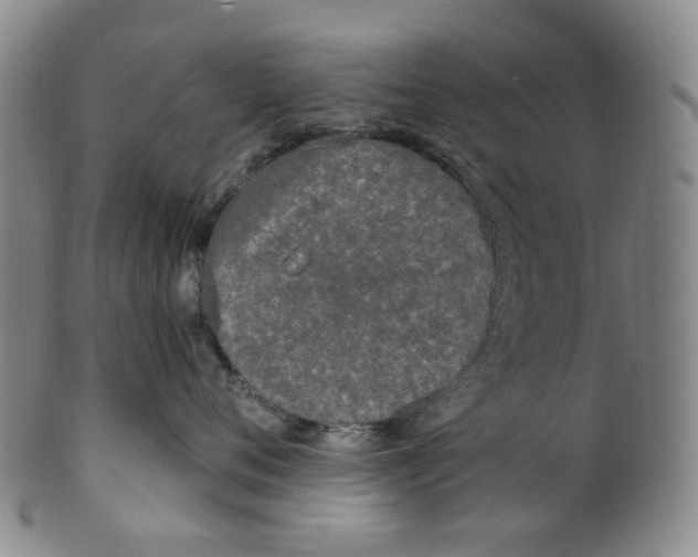 X0000100410720200806271443