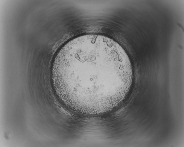 X0000100410721200806271443