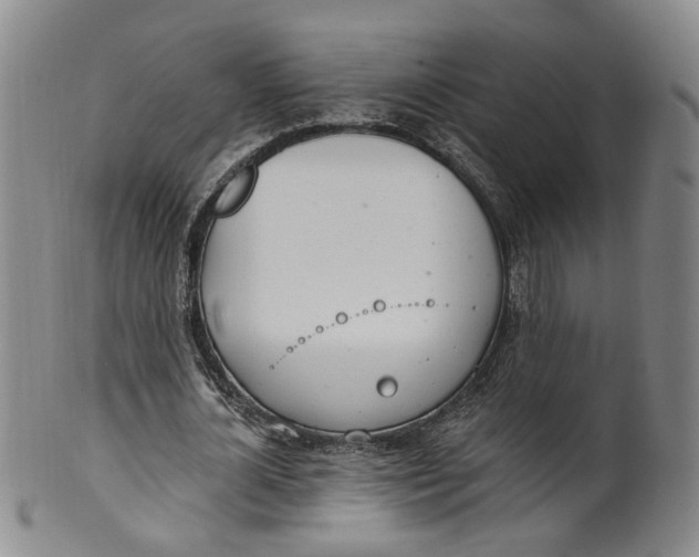 X0000100410724200806271443