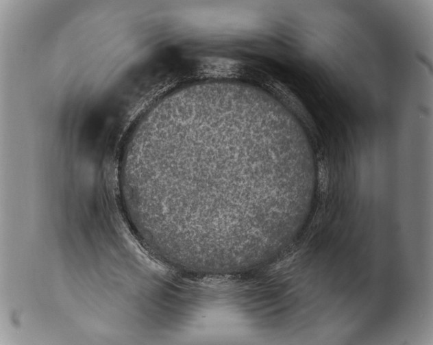 X0000100410725200806271443