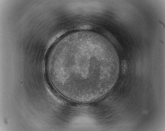 X0000100410726200806271443