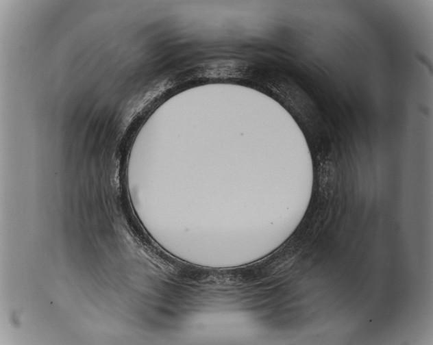 X0000100410727200806271443