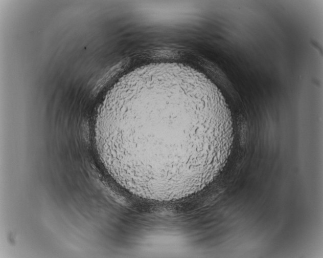 X0000100410729200806271443