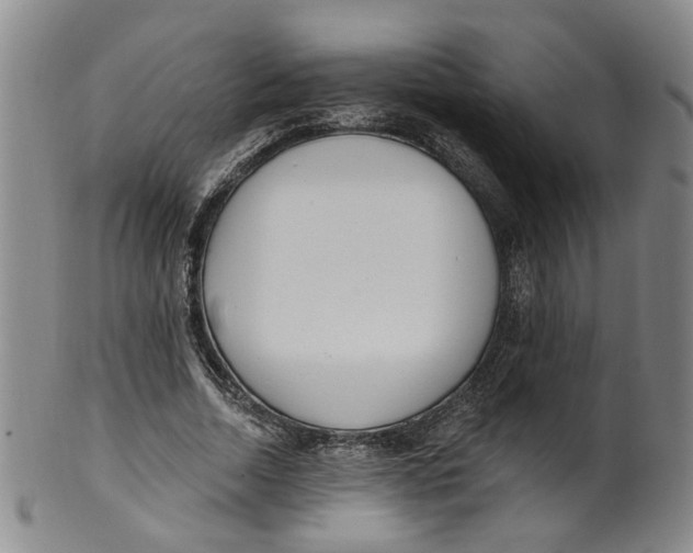 X0000100410730200806271443