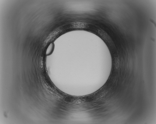 X0000100410731200806271443