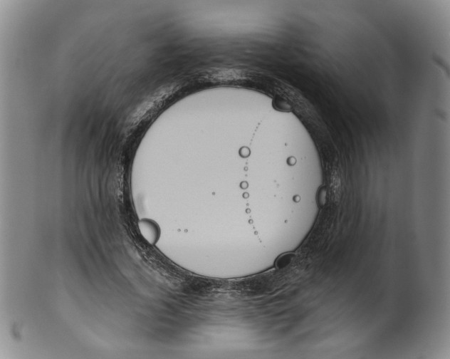 X0000100410732200806271443