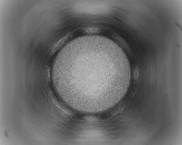 X0000100410733200806271443