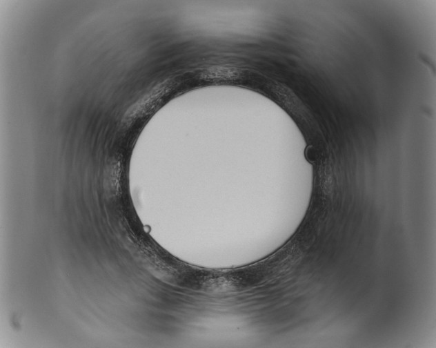 X0000100410735200806271443