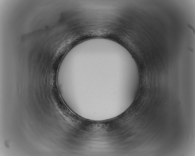 X0000100410736200806271443