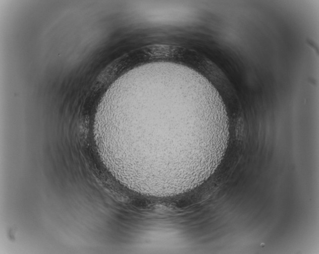 X0000100410737200806271443