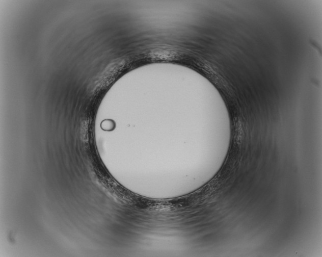 X0000100410738200806271443