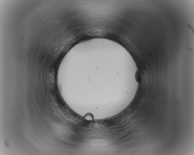 X0000100410739200806271443