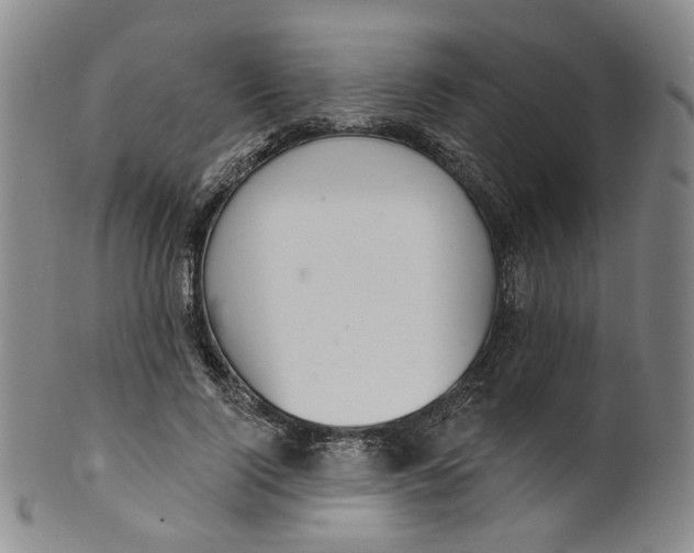 X0000100410740200806271443