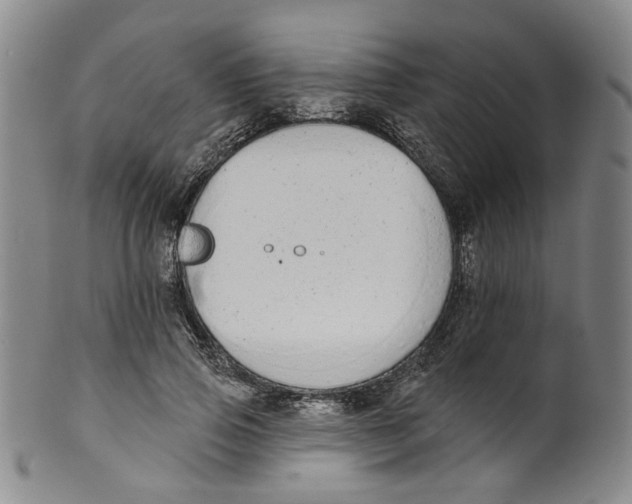 X0000100410741200806271443