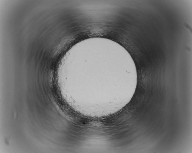 X0000100410742200806271443