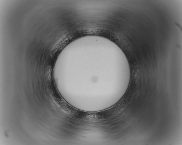 X0000100410744200806271443