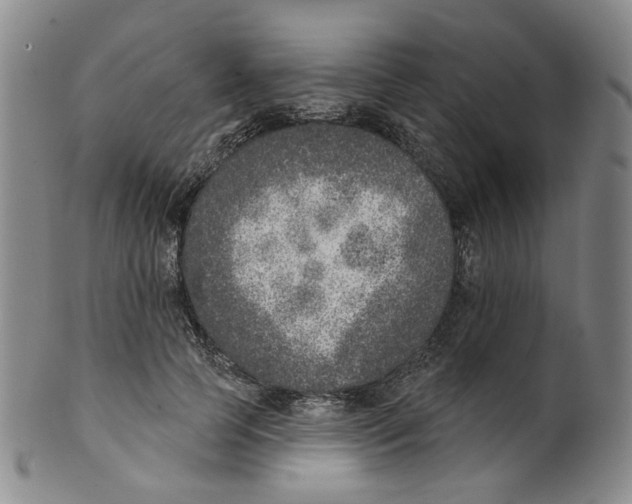 X0000100410745200806271443