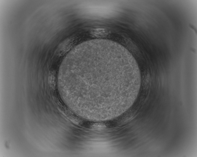 X0000100410749200806271443