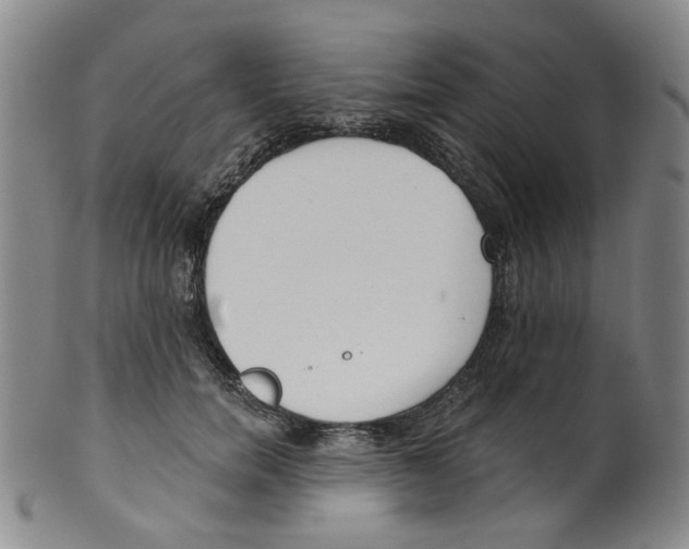 X0000100410750200806271443