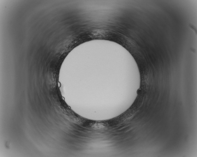 X0000100410751200806271443