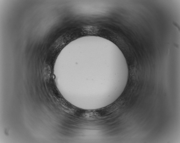 X0000100410752200806271443