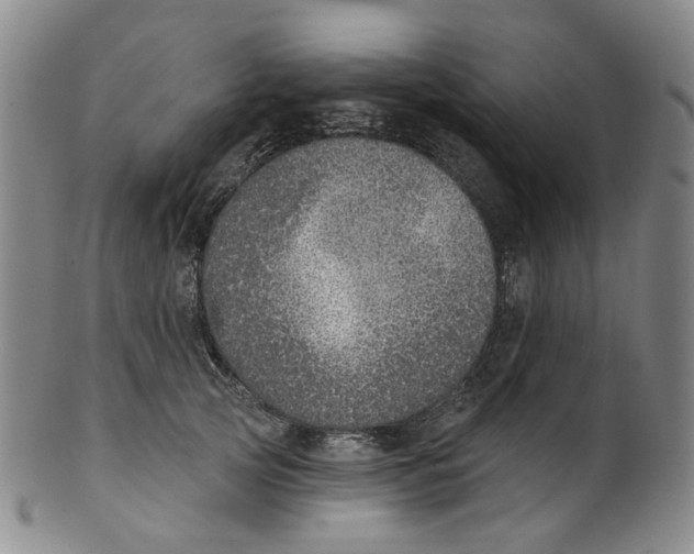 X0000100410753200806271443