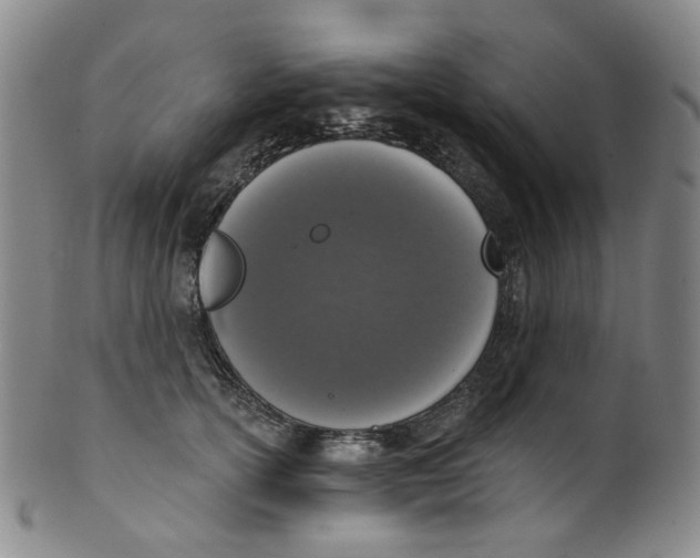 X0000100410754200806271443