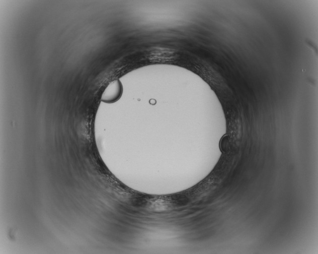 X0000100410755200806271443