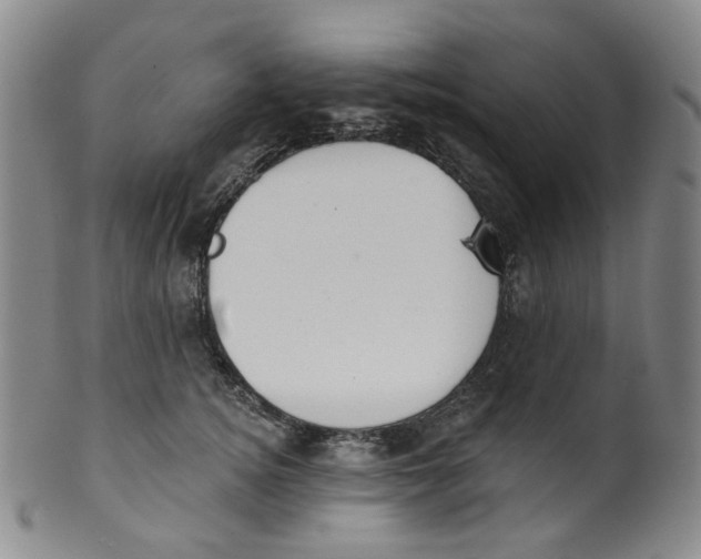 X0000100410756200806271443