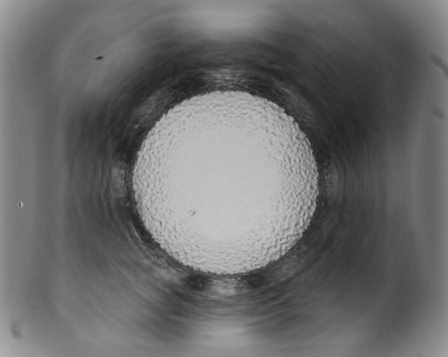 X0000100410757200806271443