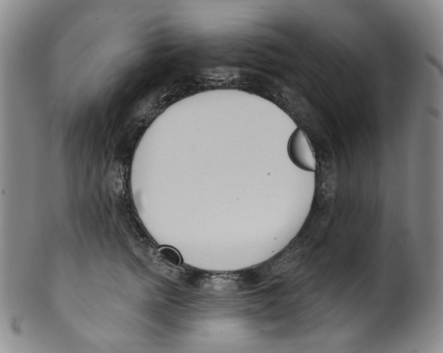 X0000100410758200806271443