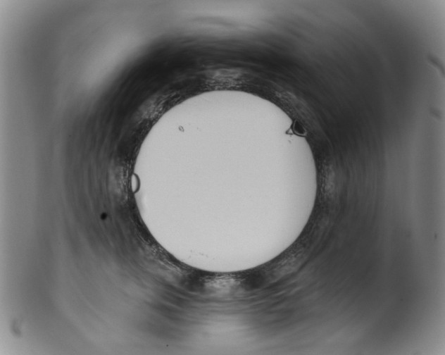 X0000100410759200806271443