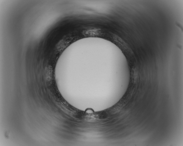 X0000100410760200806271443