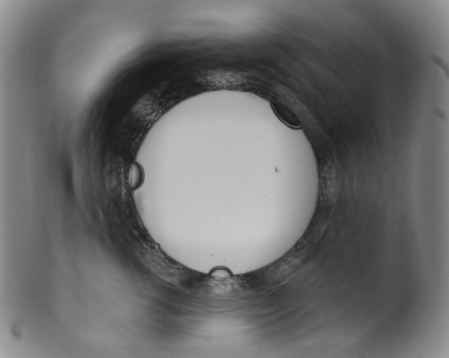 X0000100410762200806271443