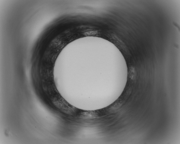 X0000100410763200806271443