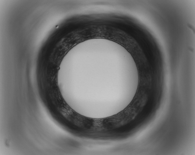 X0000100410766200806271443