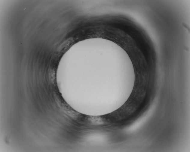 X0000100410767200806271443